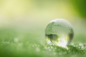 Eco Sostenibilità tecnologia rips